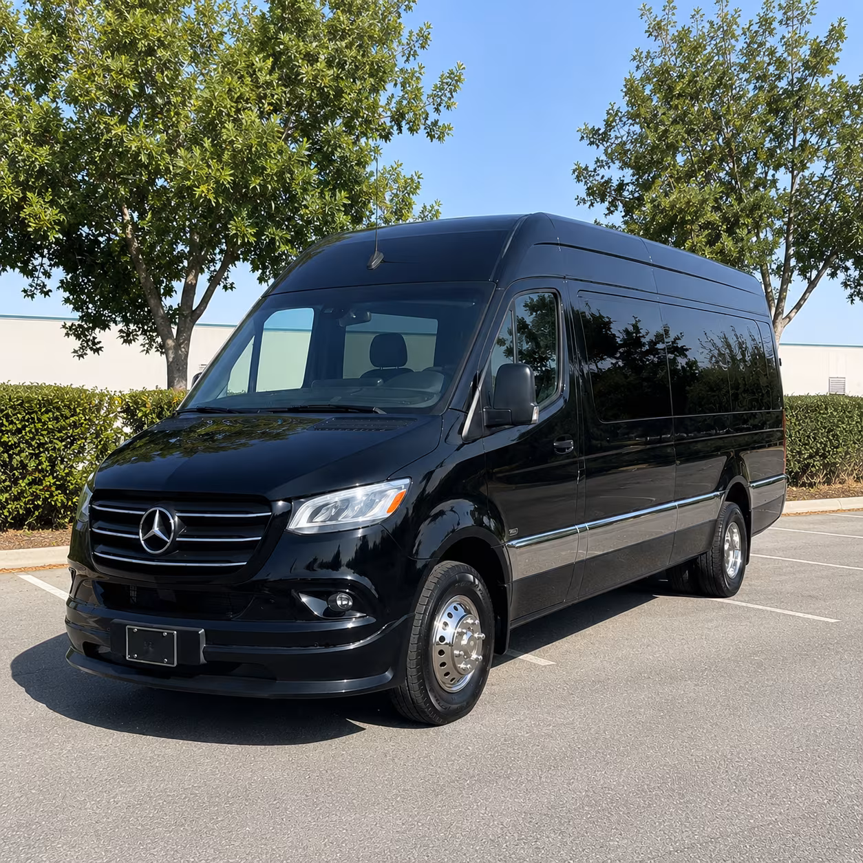 amherst sprinter van with driver